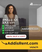 studio apartment for rent in addis ababa