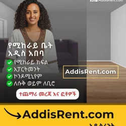 studio apartment for rent in addis ababa
