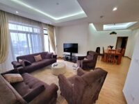 house for rent in addis ababa