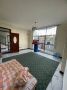 1bedroom apartment for rent in addis ababa